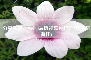 分享实测“WePoKer透视软件挂”(其实是有挂)