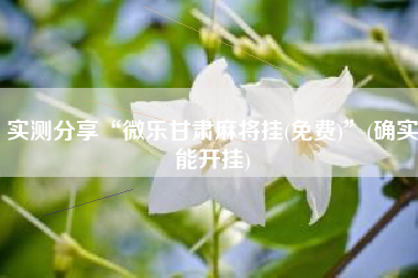 实测分享“微乐甘肃麻将挂(免费)”(确实能开挂)