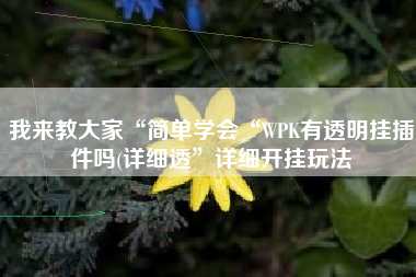 我来教大家“简单学会“WPK有透明挂插件吗(详细透	”详细开挂玩法