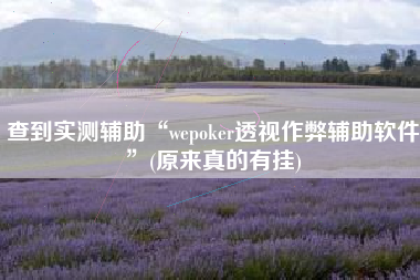 查到实测辅助“wepoker透视作弊辅助软件”(原来真的有挂)