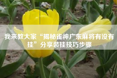 我来教大家“揭秘雀神广东麻将有没有挂”分享装挂技巧步骤