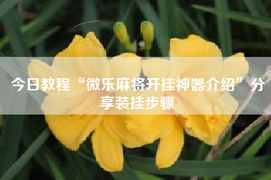 今日教程“微乐麻将开挂神器介绍”分享装挂步骤