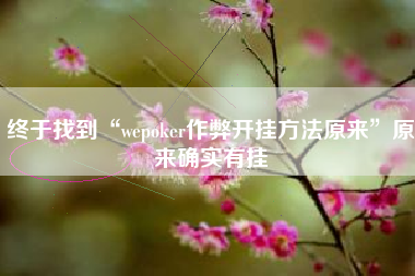 终于找到“wepoker作弊开挂方法原来”原来确实有挂