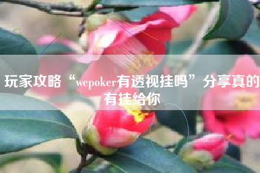 玩家攻略“wepoker有透视挂吗	”分享真的有挂给你