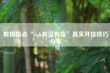 教程指点“wpk有没有挂”真实开挂技巧分享