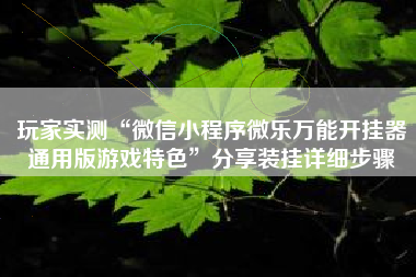 玩家实测“微信小程序微乐万能开挂器通用版游戏特色”分享装挂详细步骤