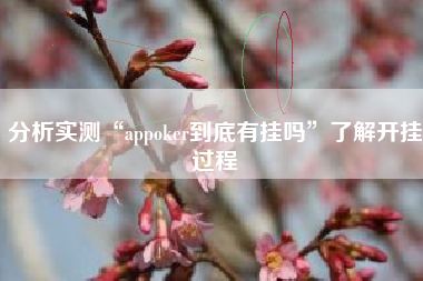 分析实测“appoker到底有挂吗”了解开挂过程