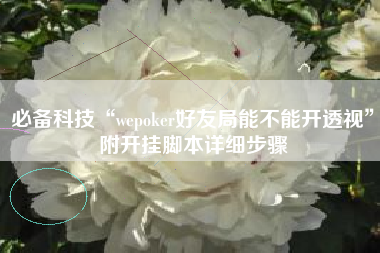 必备科技“wepoker好友局能不能开透视”附开挂脚本详细步骤