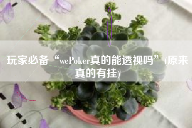 玩家必备“wePoker真的能透视吗	”(原来真的有挂)