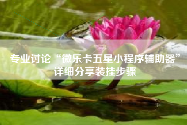 专业讨论“微乐卡五星小程序辅助器”详细分享装挂步骤