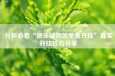 分析必看“微乐辅助器免费开挂”真实开挂技巧分享