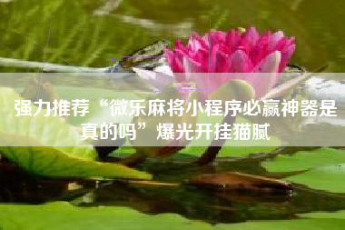 强力推荐“微乐麻将小程序必赢神器是真的吗	”爆光开挂猫腻