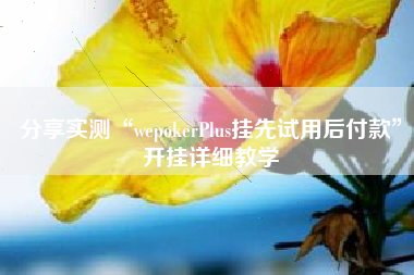 分享实测“wepokerPlus挂先试用后付款”开挂详细教学