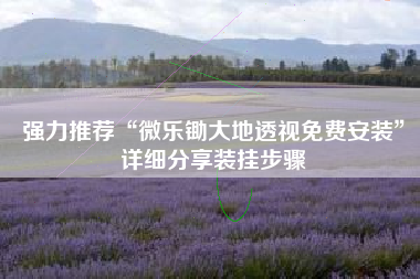 强力推荐“微乐锄大地透视免费安装”详细分享装挂步骤