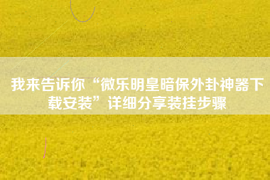 我来告诉你“微乐明皇暗保外卦神器下载安装”详细分享装挂步骤