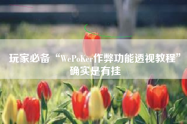 玩家必备“WePoKer作弊功能透视教程”确实是有挂