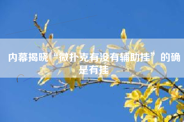内幕揭晓“微扑克有没有辅助挂”的确是有挂