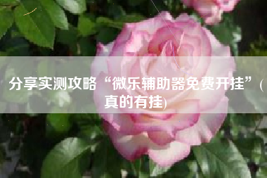 分享实测攻略“微乐辅助器免费开挂	”(真的有挂)