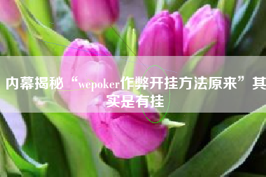 内幕揭秘“wepoker作弊开挂方法原来”其实是有挂