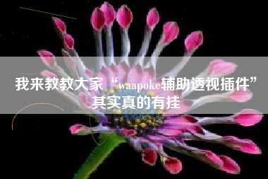 我来教教大家“waapoke辅助透视插件”其实真的有挂