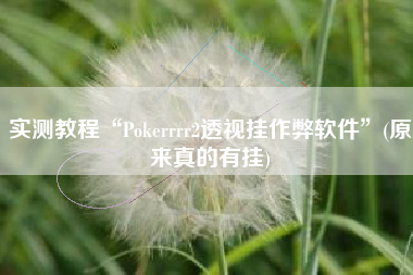实测教程“Pokerrrr2透视挂作弊软件”(原来真的有挂)