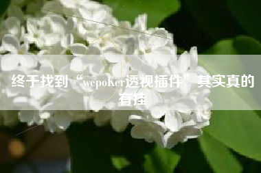终于找到“wepoKer透视插件	”其实真的有挂