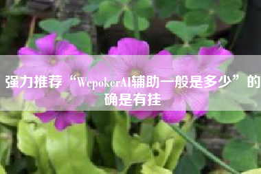 强力推荐“WepokerAI辅助一般是多少”的确是有挂