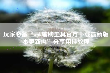 玩家必备“wpk辅助工具官方下载最新版本更新内	”分享用挂教程