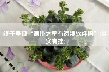 终于呈现“德扑之星有透视软件吗”(其实有挂)