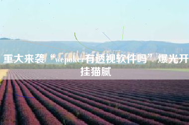 重大来袭“wepoker有透视软件吗	”爆光开挂猫腻