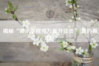 揭秘“微乐小程序万能开挂器”(真的有挂)