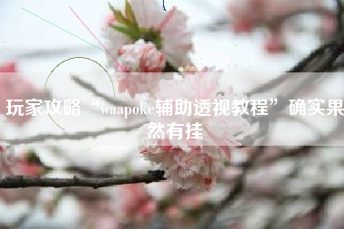 玩家攻略“waapoke辅助透视教程”确实果然有挂