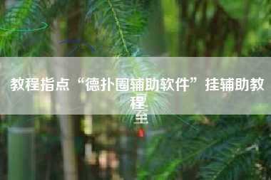教程指点“德扑圈辅助软件”挂辅助教程
