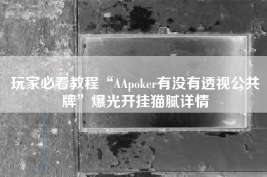 玩家必看教程“AApoker有没有透视公共牌”爆光开挂猫腻详情