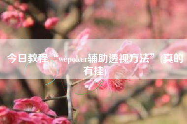 今日教程“wepoker辅助透视方法”(真的有挂)
