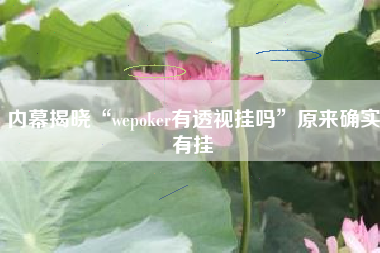 内幕揭晓“wepoker有透视挂吗	”原来确实有挂