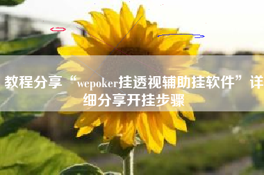 教程分享“wepoker挂透视辅助挂软件”详细分享开挂步骤