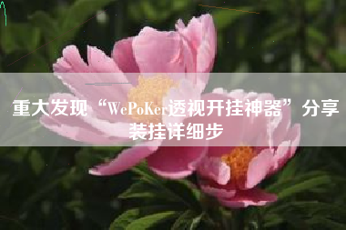 重大发现“WePoKer透视开挂神器”分享装挂详细步