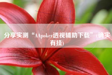 分享实测“AApoker透视辅助下载”(确实有挂)