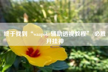 终于找到“waapoke辅助透视教程”(必胜开挂神