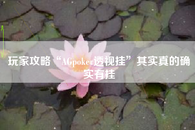 玩家攻略“AGpoker透视挂”其实真的确实有挂