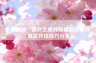 重磅揭秘“德扑之星开挂辅助器推荐”真实开挂技巧分享