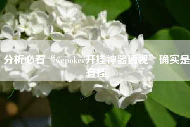 分析必看“wepoker开挂神器透视”确实是有挂