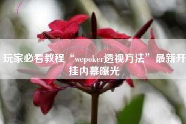 玩家必看教程“wepoker透视方法”最新开挂内幕曝光