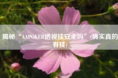 揭秘“AAPOKER透视挂安全吗”(确实真的有挂)
