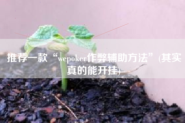 推荐一款“wepoker作弊辅助方法”(其实真的能开挂)