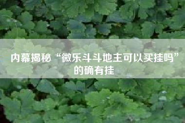 内幕揭秘“微乐斗斗地主可以买挂吗	”的确有挂