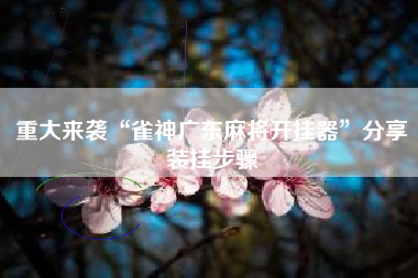 重大来袭“雀神广东麻将开挂器”分享装挂步骤