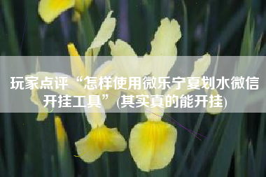 玩家点评“怎样使用微乐宁夏划水微信开挂工具”(其实真的能开挂)