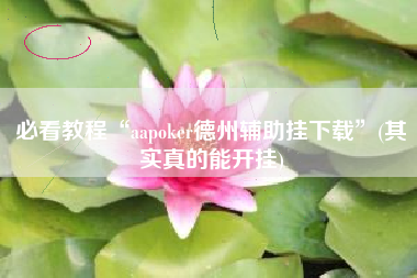 必看教程“aapoker德州辅助挂下载”(其实真的能开挂)